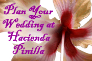 Wedding at Hacienda Pinilla